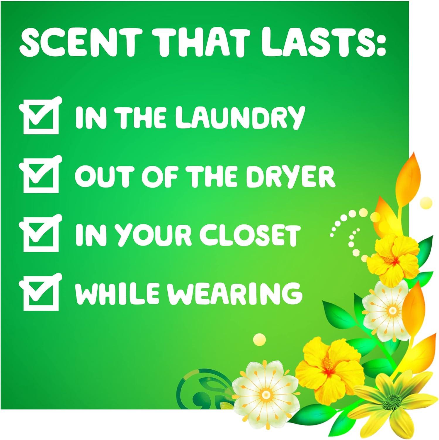 imageGain Liquid Laundry Detergent Original Scent Freshness Odor Fighting High Efficiency Washing Machine Liquid Cleaning Soap 60 fl oz Pack of 2 Packaging May VaryOriginal