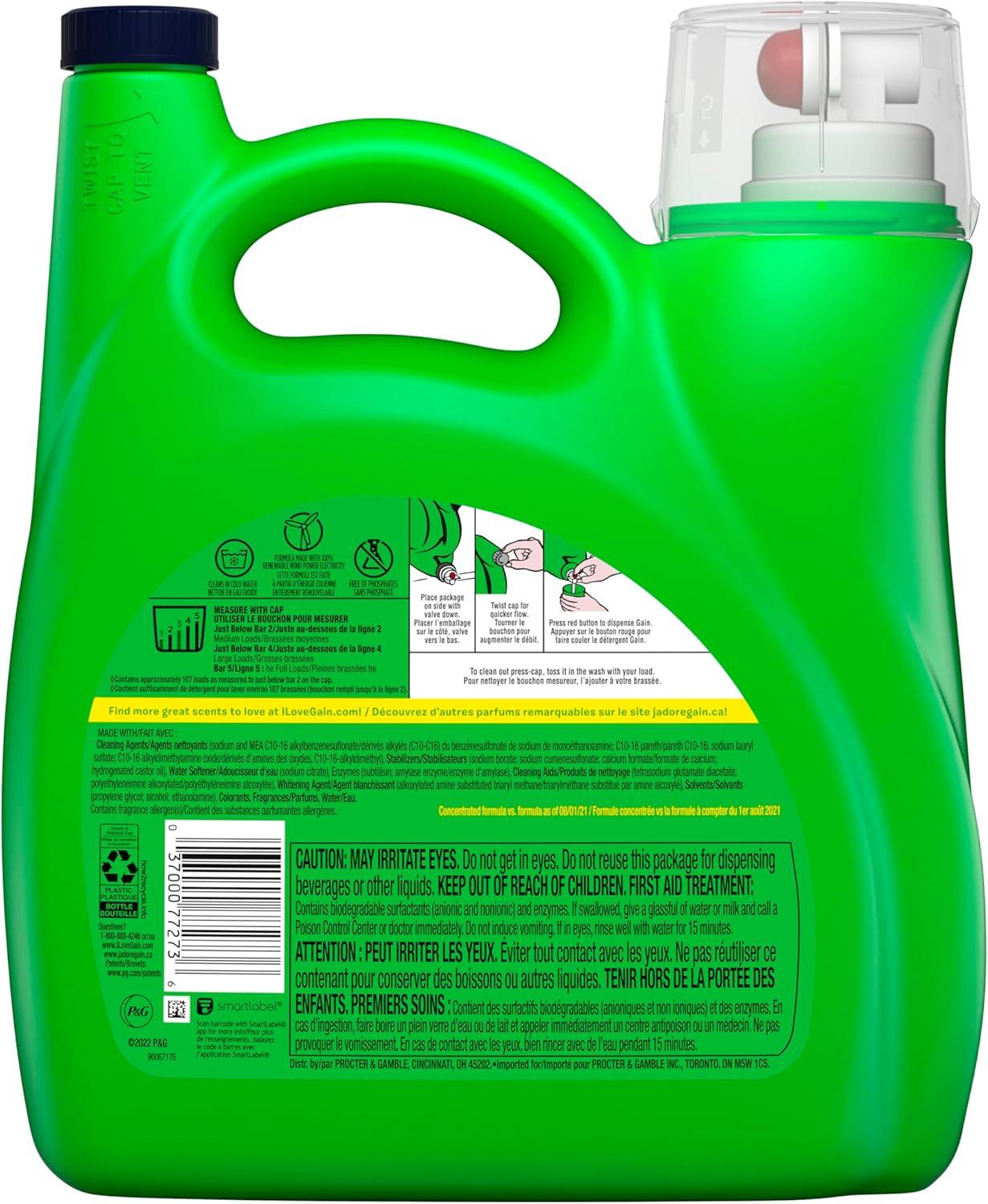 imageGain Liquid Laundry Detergent Original Scent Freshness Odor Fighting High Efficiency Washing Machine Liquid Cleaning Soap 60 fl oz Pack of 2 Packaging May VaryOriginal