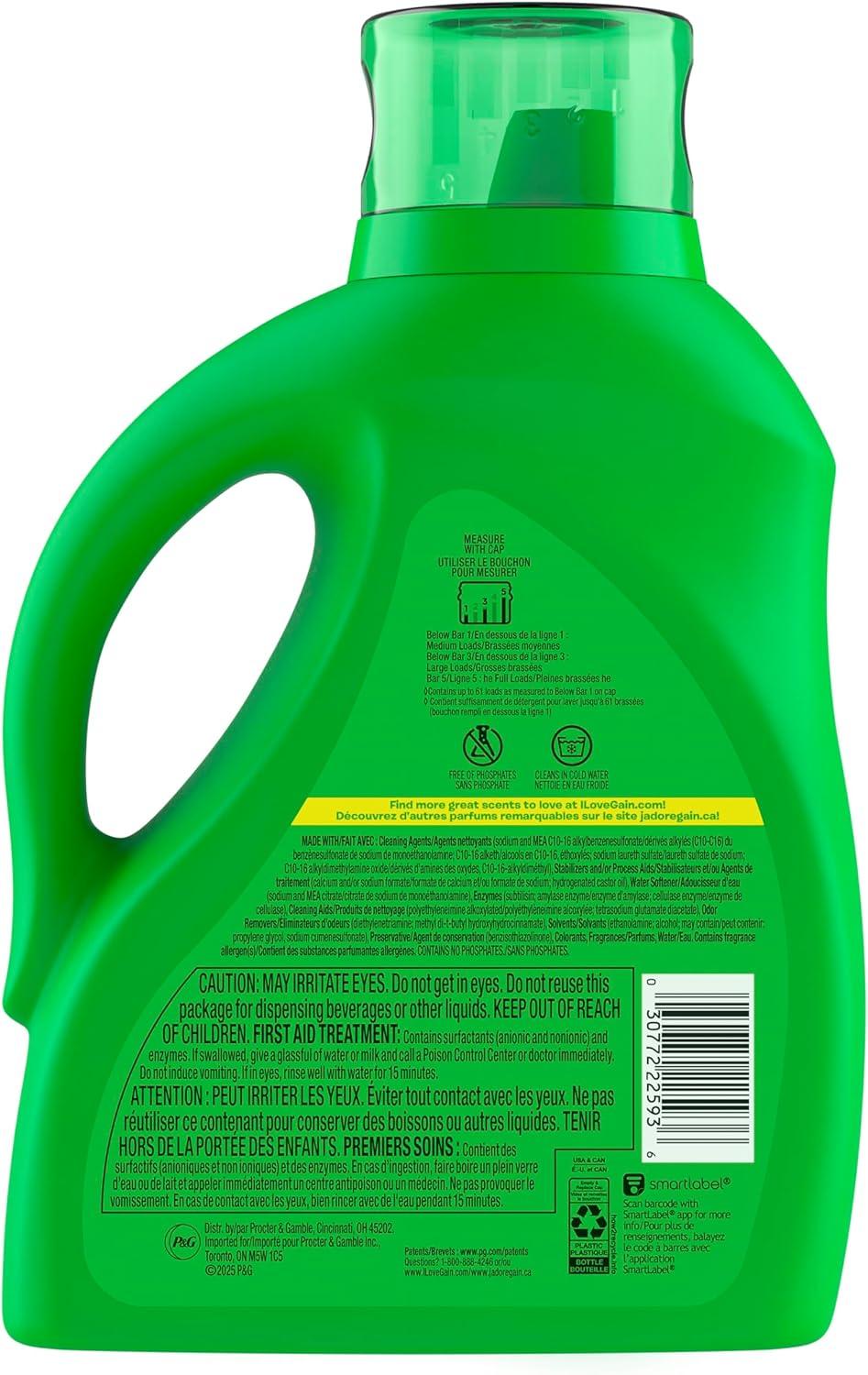imageGain Liquid Laundry Detergent Original Scent Freshness Odor Fighting High Efficiency Washing Machine Liquid Cleaning Soap 60 fl oz Pack of 2 Packaging May VaryOriginal